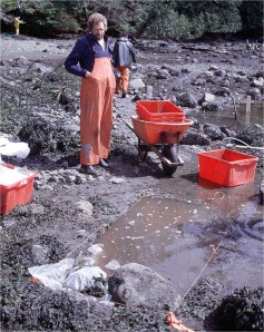 Daryl watching the tide flow at Kilgii Gwaay.