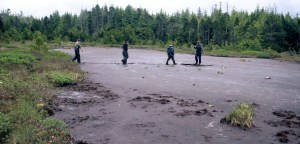 black bog abbey road black bog abbey road