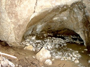 Cave found within 25 metres of road, within windfall zone.  Damage approved by karst consultant.