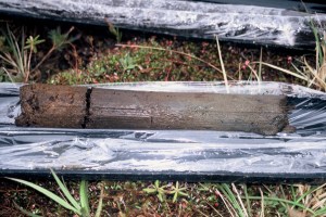 porcher island black bog core regression contact Terrestrial (left) overlay marine (right) sediments.