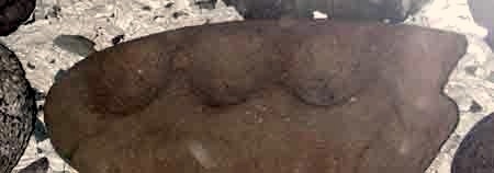 Stone Bowl from Akerman Museum