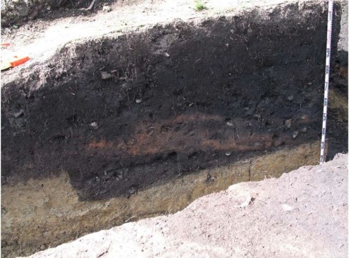 Somenos house? feature