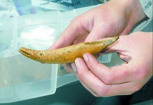 Tse-whit-zen whale sculpture.  Source: Peninsula News, Port Angeles.