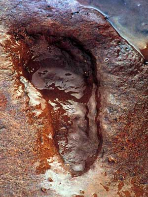 Intertidal Footprints | Northwest Coast Archaeology