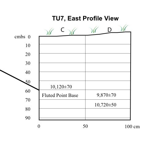 raven bluff strat hedman 2010 2