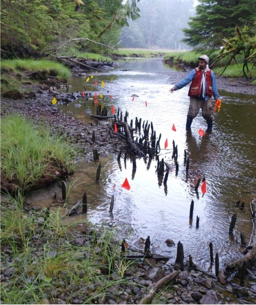 Haida fish weir in Gwaai Haanas National Park Reserve. 