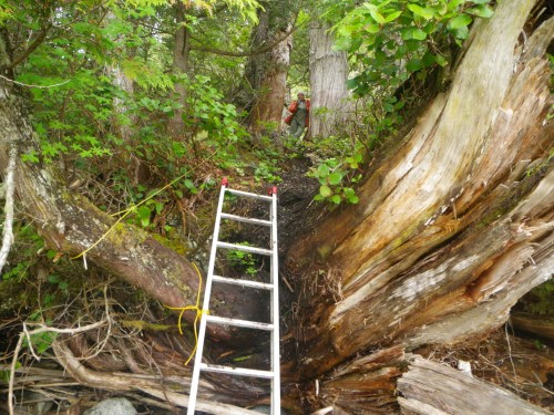View from beach up to top of cultural deposits at ElTa 4.