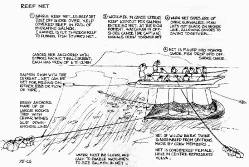 Hilary Stewart: drawing of  reef net operation
