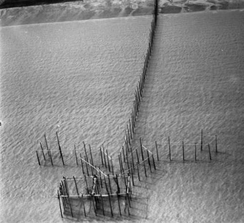Alaska fish trap, Cook Inlet, ca. 1948.  Source: http://vilda.alaska.edu/cdm/singleitem/collection/cdmg2/id/6703/rec/47