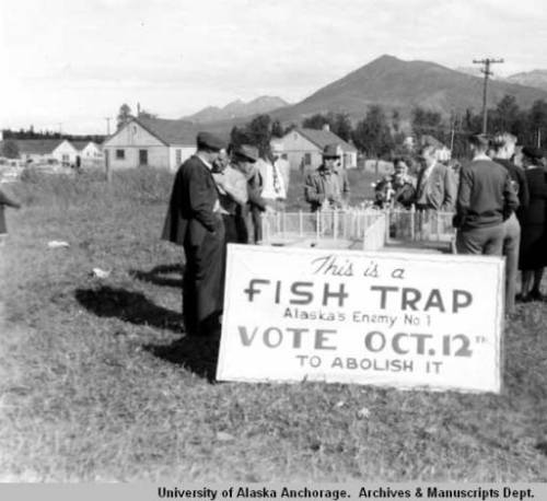 Fish Traps: Alaska's Enemy Number One.  Anchorage, ca. 1948. Ssource: http://vilda.alaska.edu/cdm/singleitem/collection/cdmg13/id/1930/rec/9