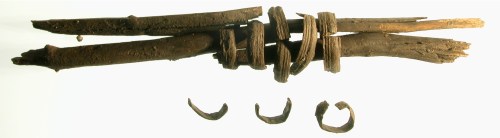 Sticks/withes wrapped with split spruce root from Kilgii Gwaay site.