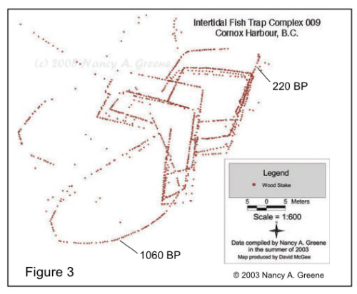 Comox Harbour fish traps.  Source: Greene 2010.