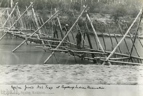 Yelm Jim's fish weir on the Puyallup River ca. 1885. Click for high resolution.  Source:  http://www.digitalarchives.wa.gov/Record/View/7DE71DBBEDCF71DCADF61AEFB20FFBA6