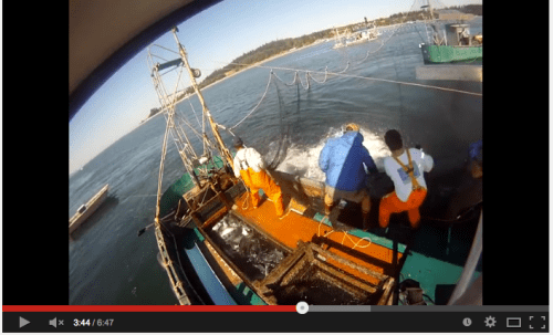 Video of commercial reefnet fishery.  Click image to watch.