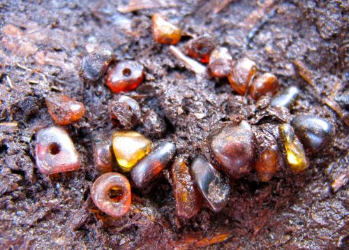 Collection of amber beads from the Nunalleq Site. Source: Nunalleq Blog. https://nunalleq.wordpress.com/2015/07/15/artefact-of-the-day-147/