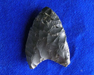 Basally-thinned point from Charlie Lake Cave. Photo: Jon Driver; Source: SFU.