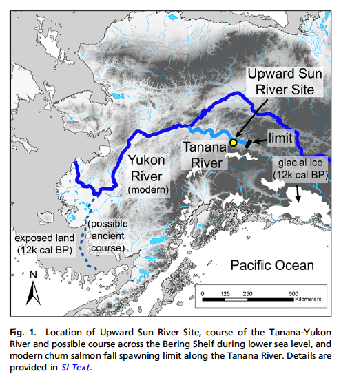 Location of Upward Sun River Site in relation to Alaska/Beringia and Chum migrations. Source: Halffman et al 2015