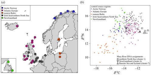 Scatterplot of stable istope composition of the comparative sample and the Mary Rose sample. Source: Hutchinson et al. 2015.