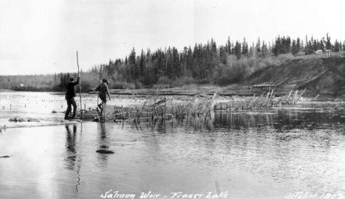 Fish weir and traps at Fraser Lake, 1908. Source BC Archives, https://goo.gl/eJjF46.