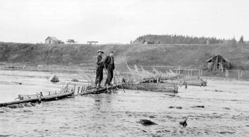 Salmon weir, Nautley River, Fraser Lake ,October, 1909. Photo by Frank Swannell. Source: BC Archives, https://goo.gl/qwJFnr .